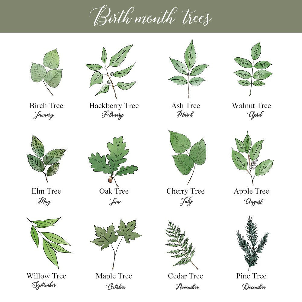 Custom Name Birth Flower & Birth Tree Water Bottle Labels, Engagement/Bridal Shower Favors, Wedding/Anniversary Gifts for Him/Her/Couple