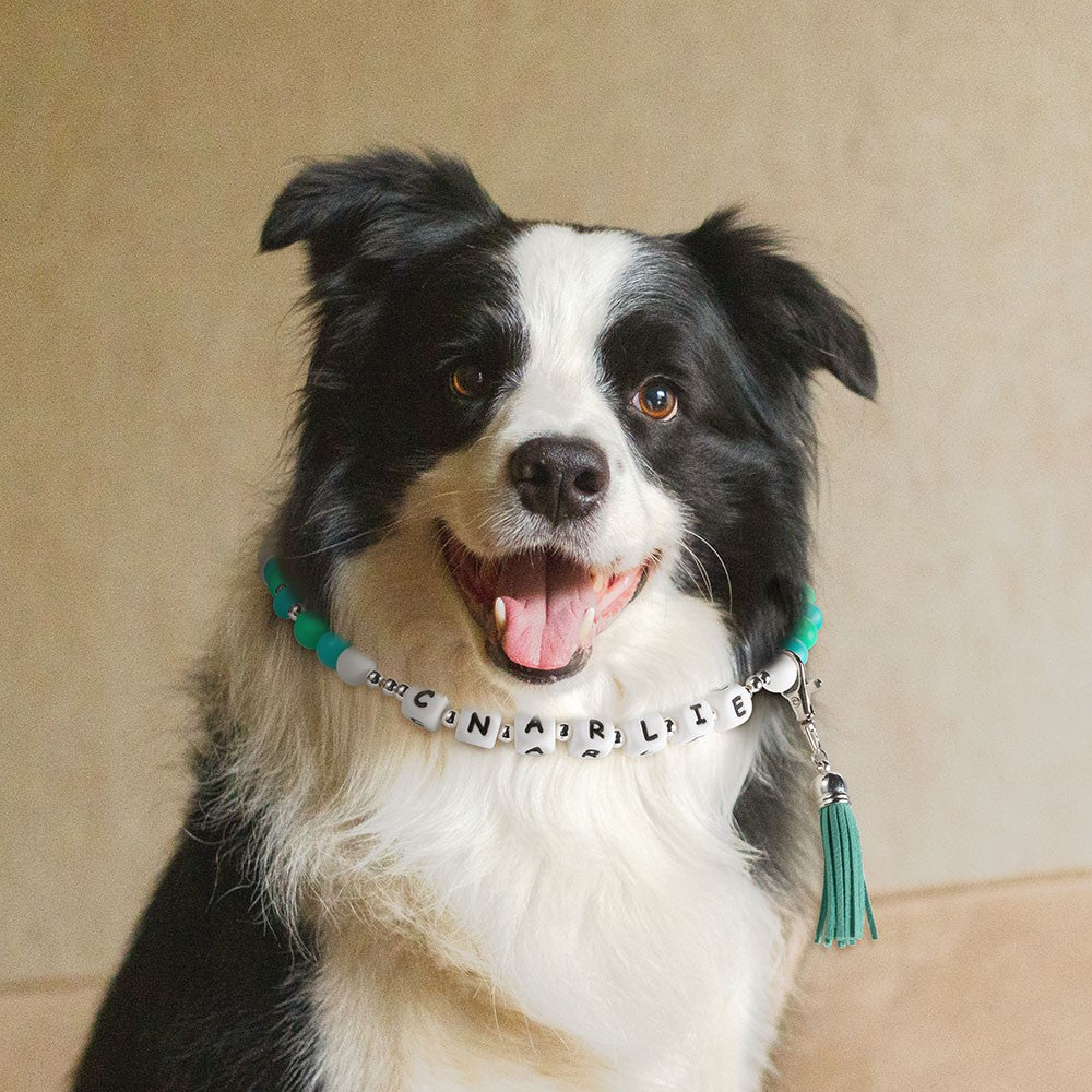 Personalized Name Pet Collar & Owner Bracelet Matching Friendship Set, Silicone Letter Beaded Necklace & Bracelet, Pet Accessories, Gift for Pet Lover