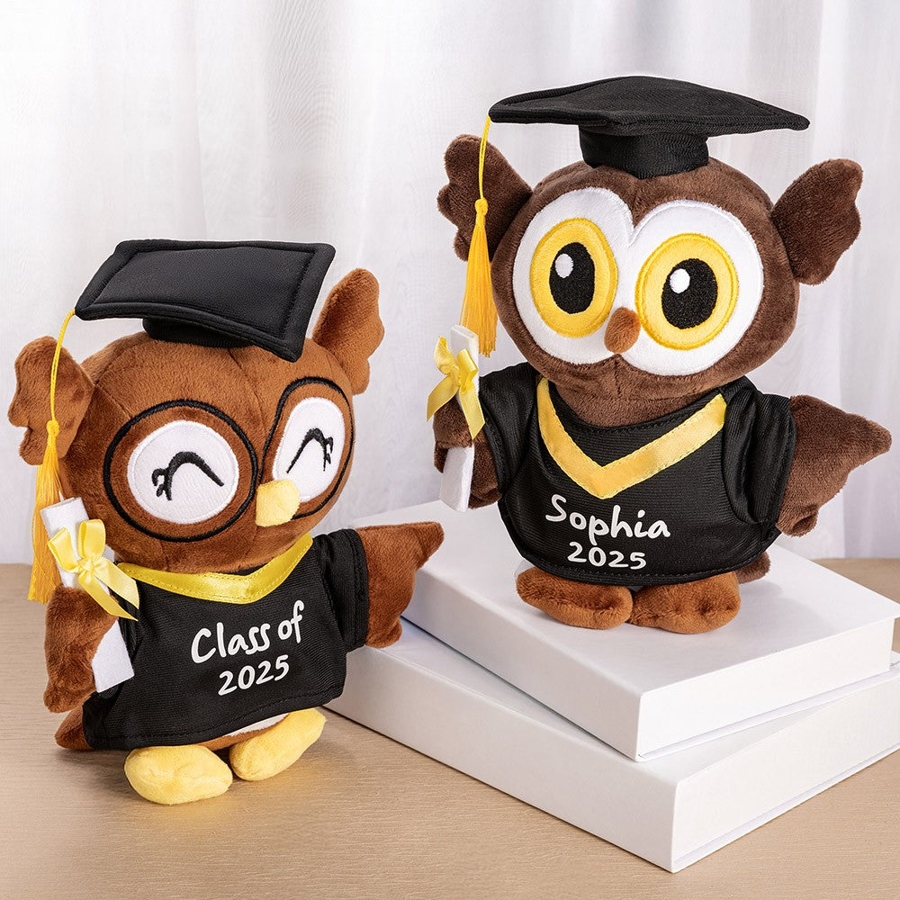 Personalized Graduation Owl Stuffed Animal, Plush Owl Doll with Bachelor Cap & Gown, Graduation Keepsake Class of 2025, Memorial Gift for Graduates