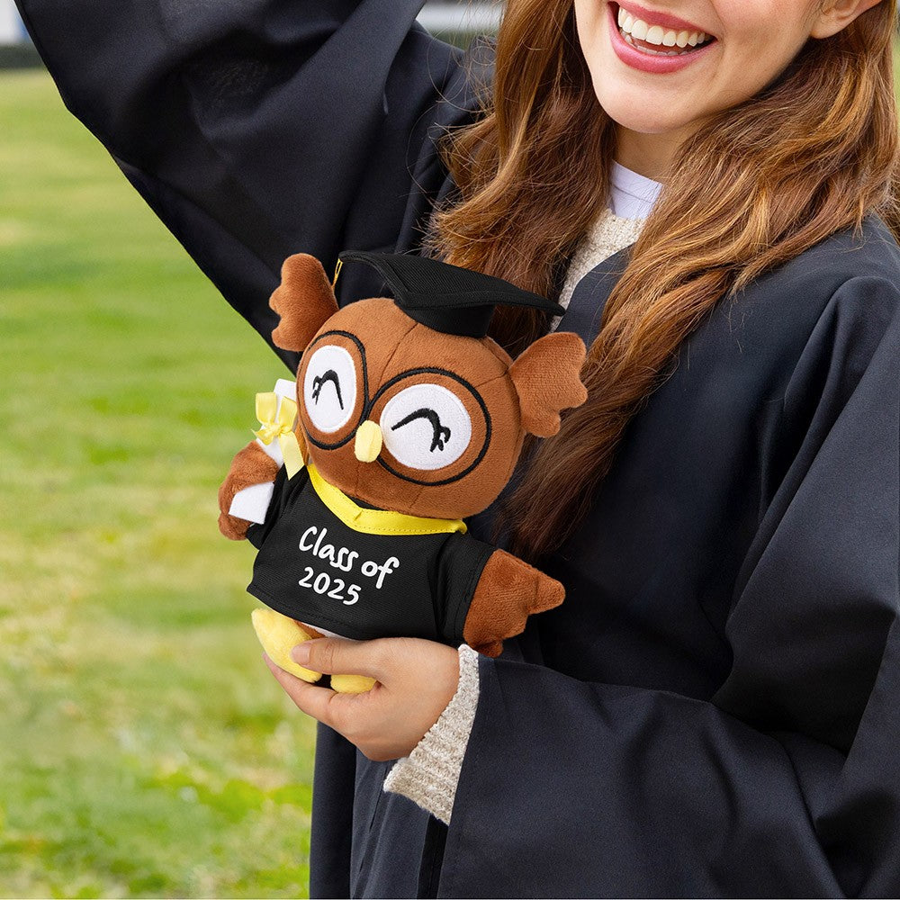 Personalized Graduation Owl Stuffed Animal, Plush Owl Doll with Bachelor Cap & Gown, Graduation Keepsake Class of 2025, Memorial Gift for Graduates