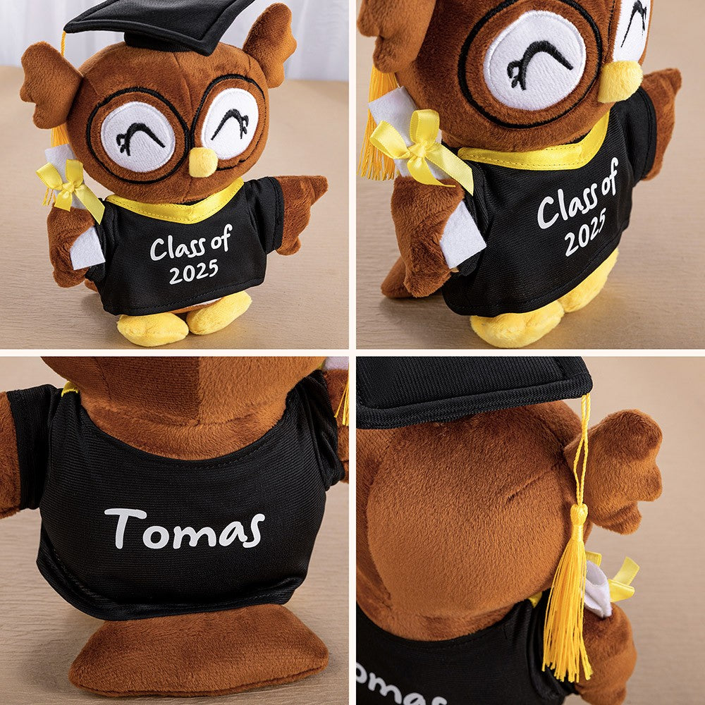 Personalized Graduation Owl Stuffed Animal, Plush Owl Doll with Bachelor Cap & Gown, Graduation Keepsake Class of 2025, Memorial Gift for Graduates