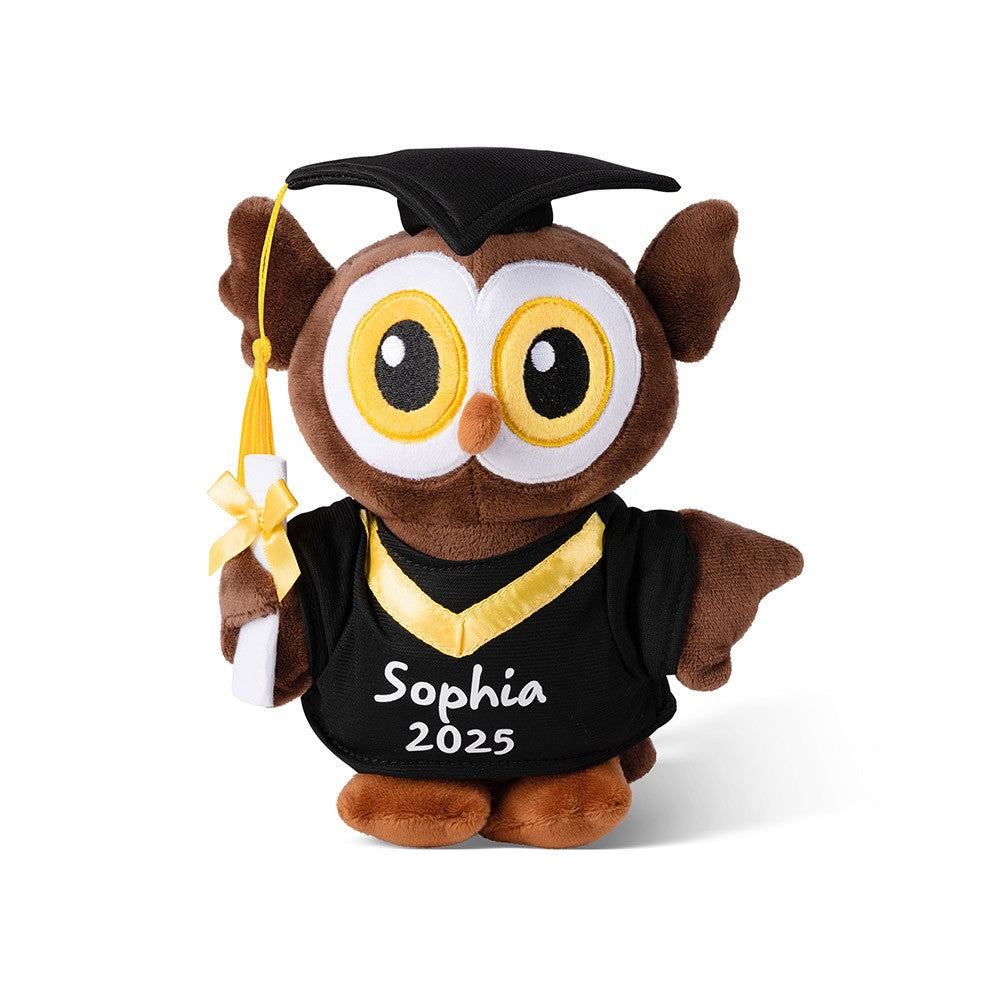 Personalized Graduation Owl Stuffed Animal, Plush Owl Doll with Bachelor Cap & Gown, Graduation Keepsake Class of 2025, Memorial Gift for Graduates