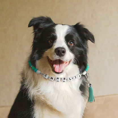 Personalized Name Pet Collar & Owner Bracelet Matching Friendship Set, Silicone Letter Beaded Necklace & Bracelet, Pet Accessories, Gift for Pet Lover