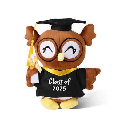 Personalized Graduation Owl Stuffed Animal, Plush Owl Doll with Bachelor Cap & Gown, Graduation Keepsake Class of 2025, Memorial Gift for Graduates